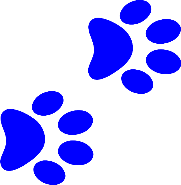 Hundepfoten