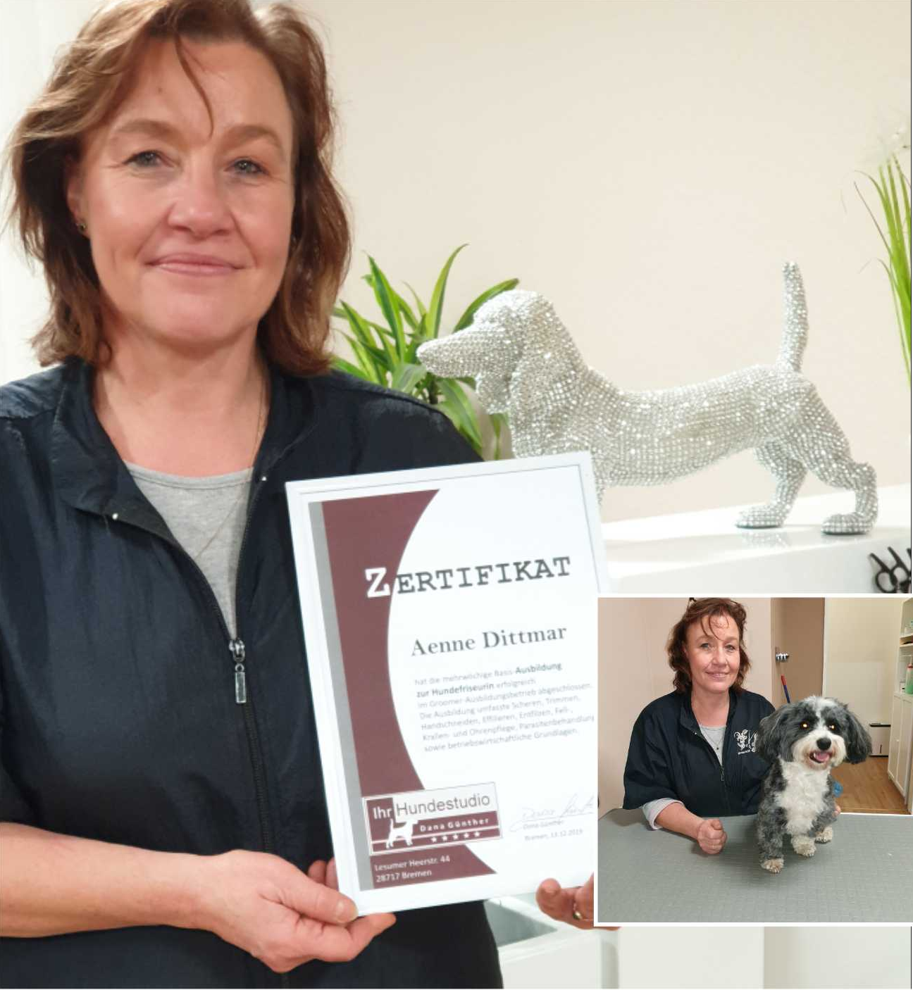 Hundefriseur mit Abschlusszertifikat