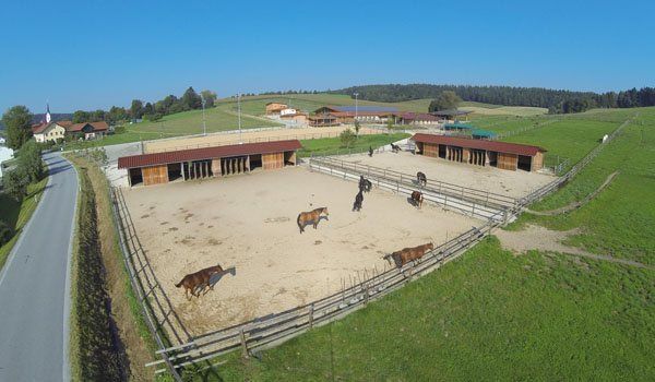 Luftbild, Überblick, Pferdehof Luftbild