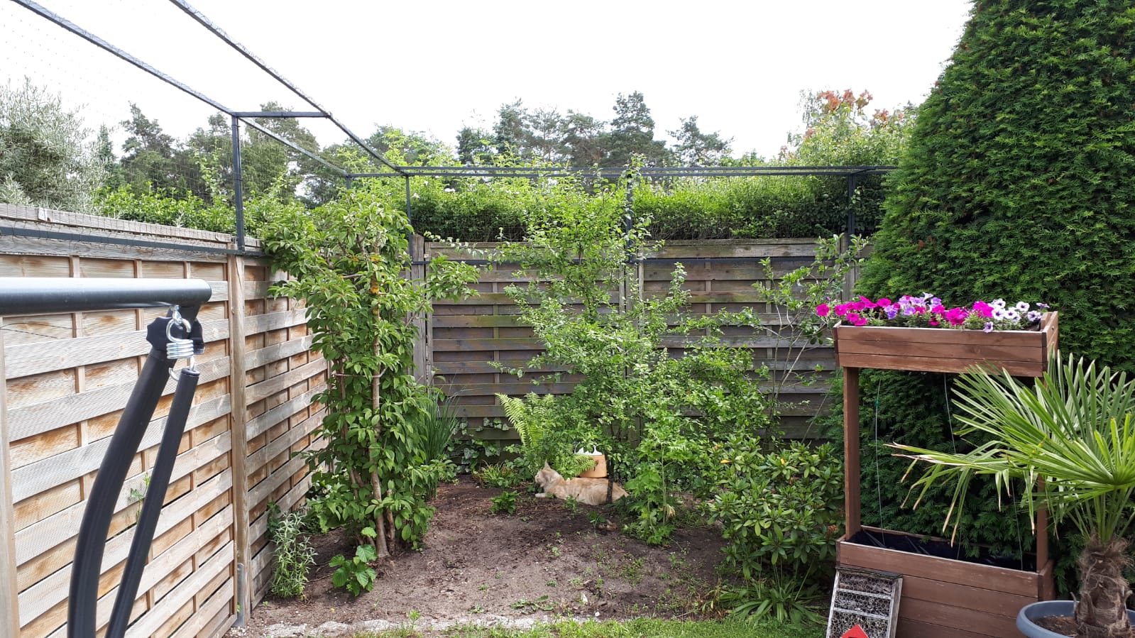 Gartenabsicherung mit einem Überkletterschutz an Sichtschutzelementen