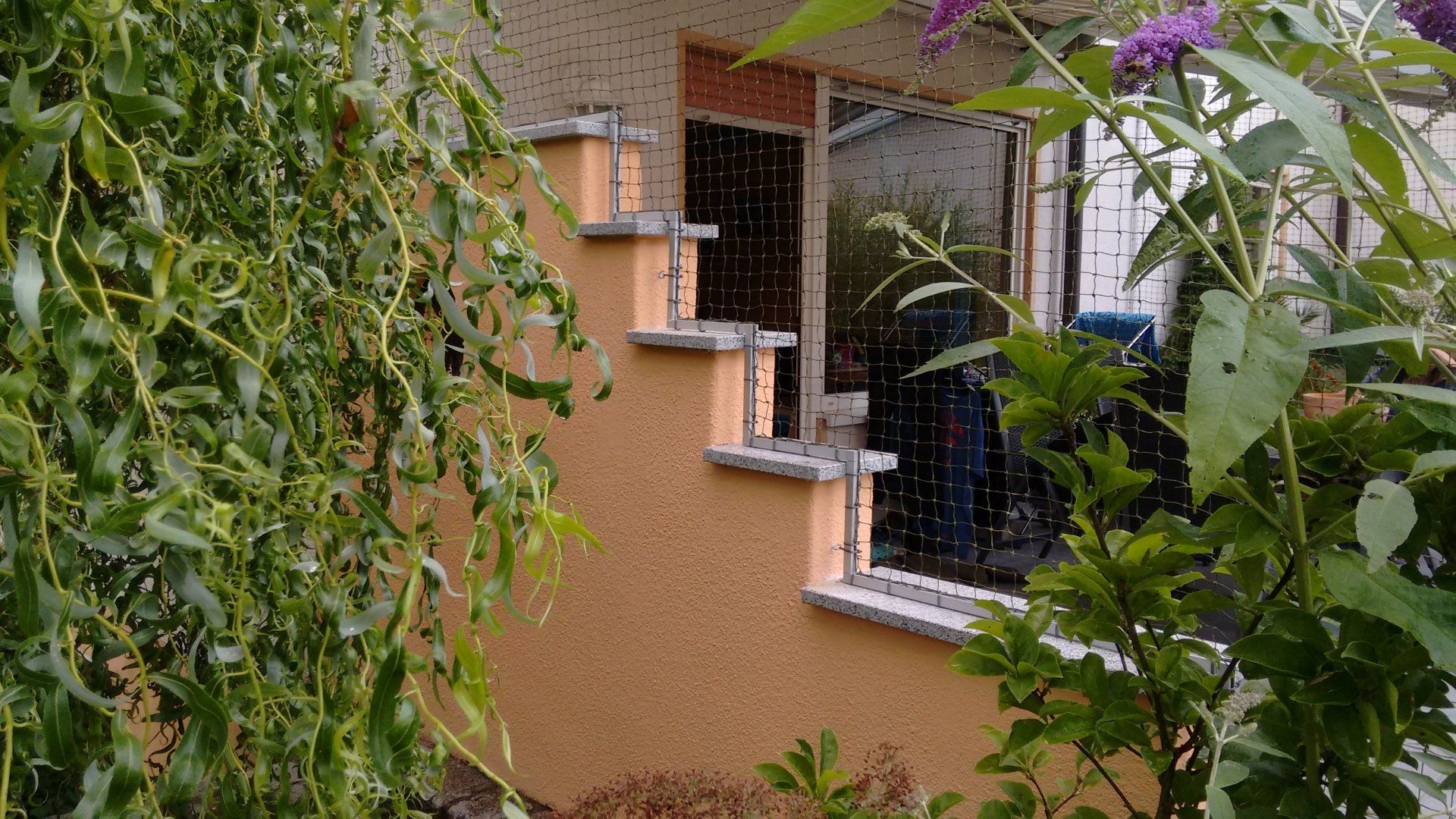 Gesicherte Terrasse Terrassensicherung mit Katzennetz