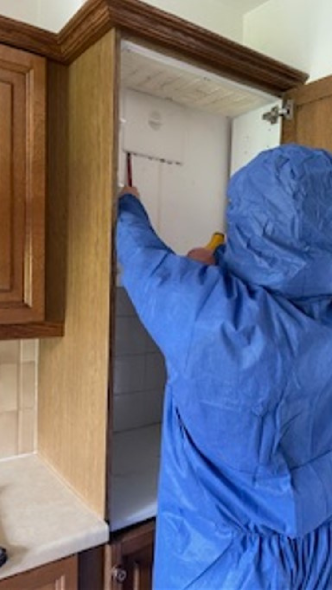 Surveyor inspecting a commercial property for asbestos during a management survey, ensuring compliance