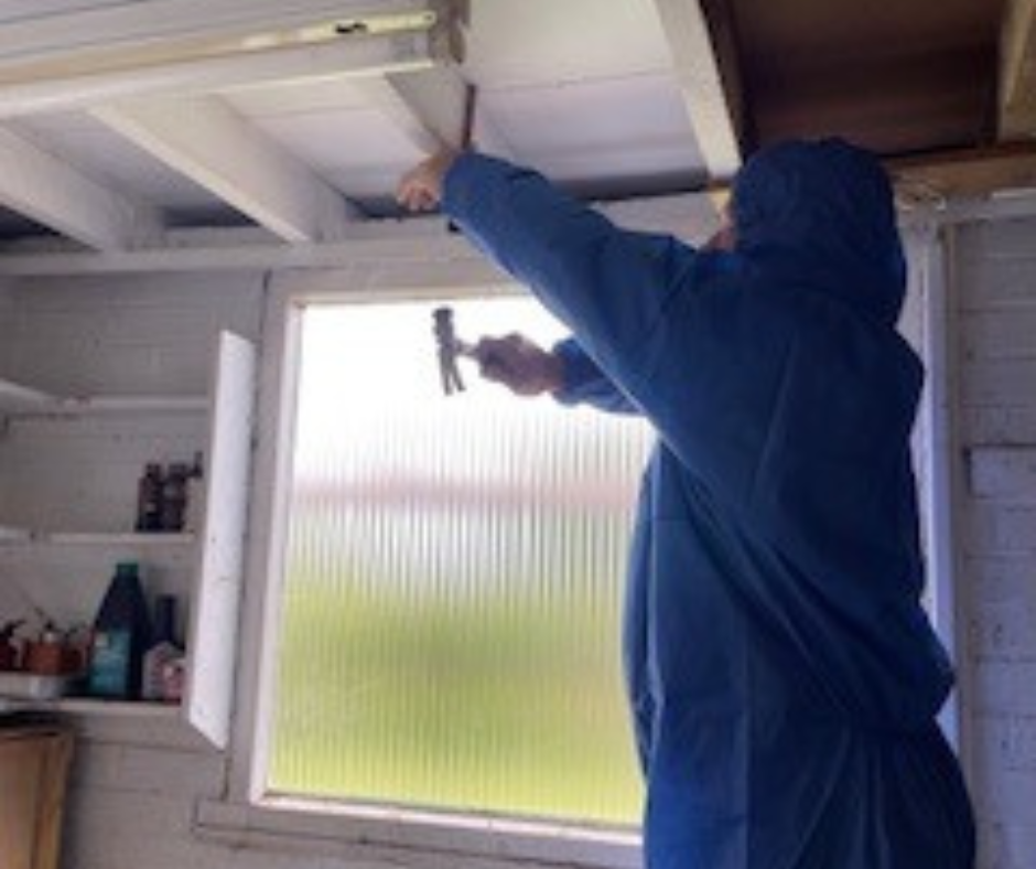 Professional asbestos surveyor conducting a building inspection for asbestos-containing materials