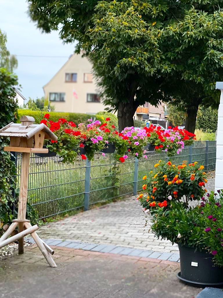 M&B Pflegeteam
Intesivpflege-WG PHOENIX
Bild