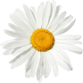 A-Nature-Moment-logo
