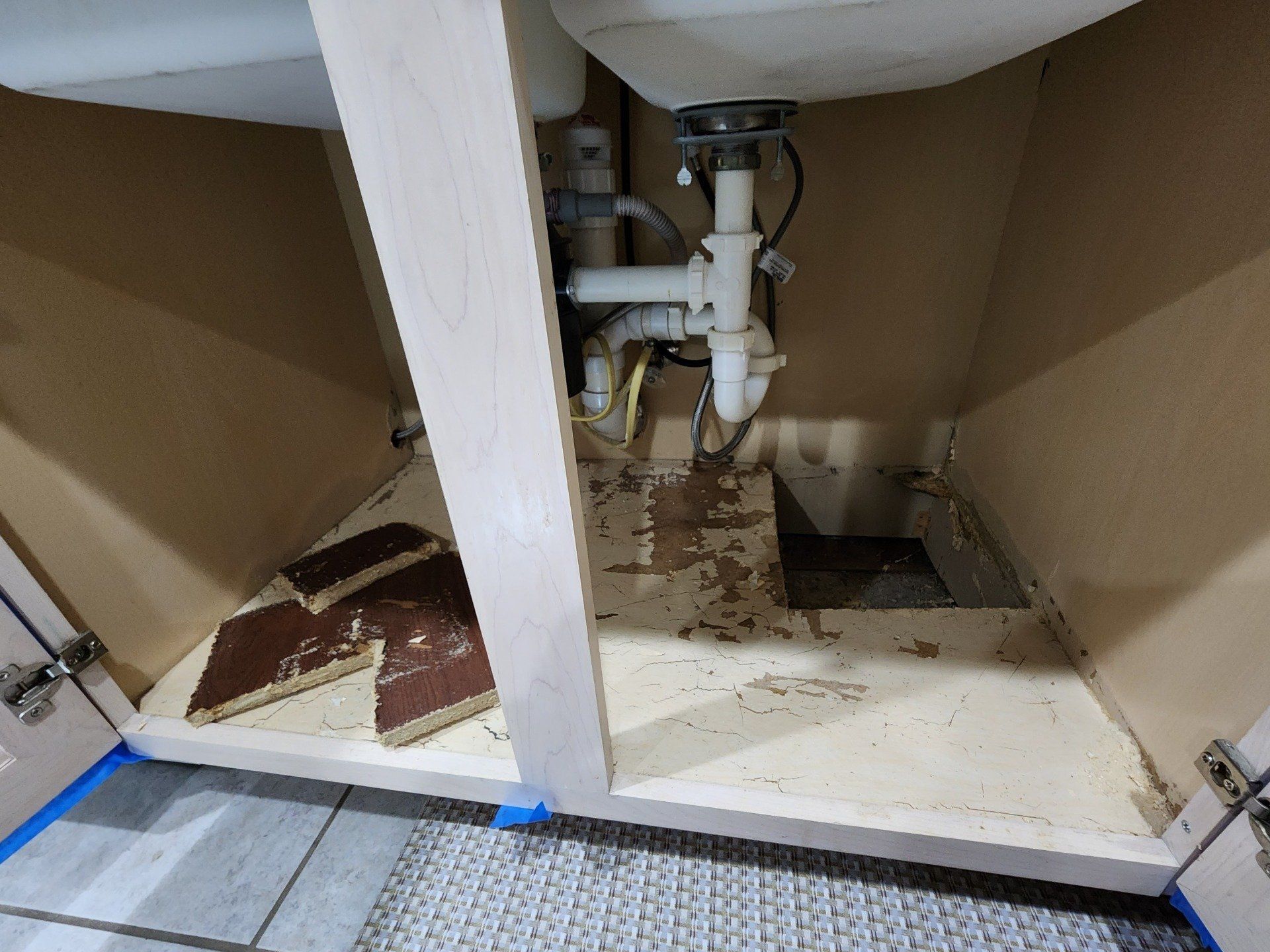 water damage and mold in kitchen sink