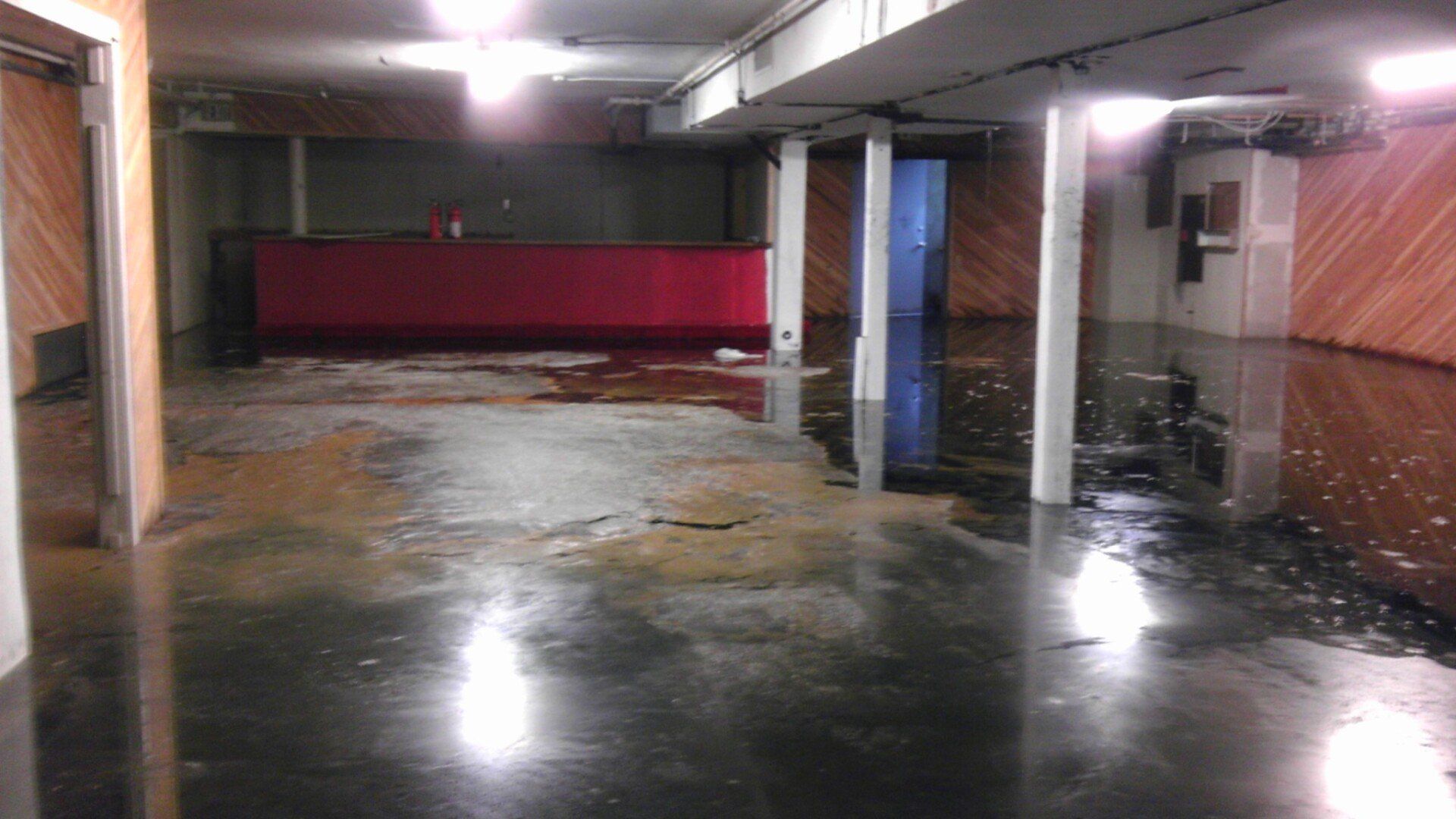 sewage backup remediation