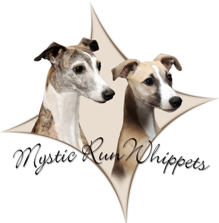 Mystic Run Whippets Logo