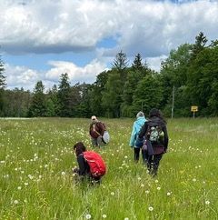 schamanisches Festival in Deutschland