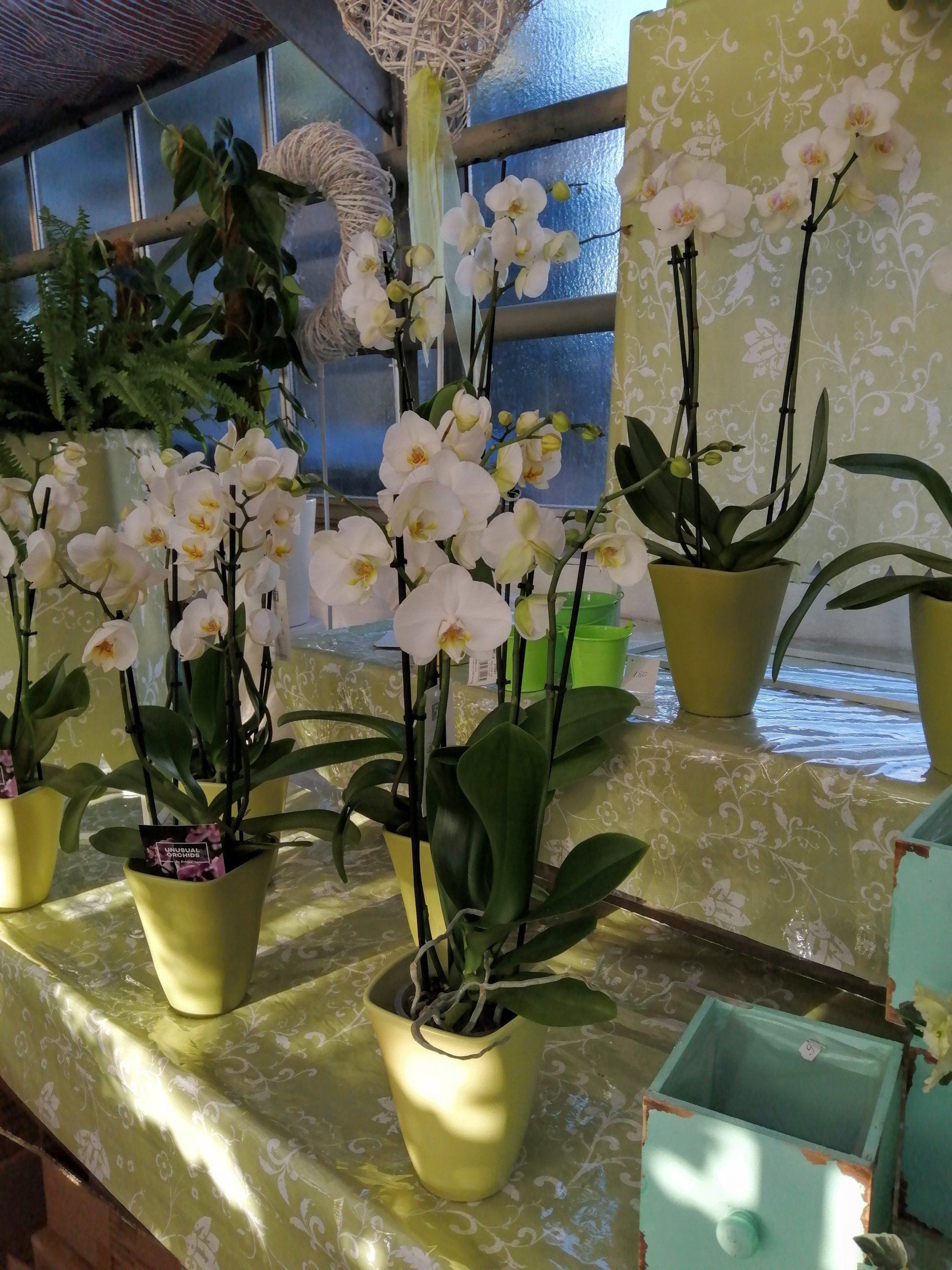 Frühling in Rendsburg,Büdelsdorf und Umgebung