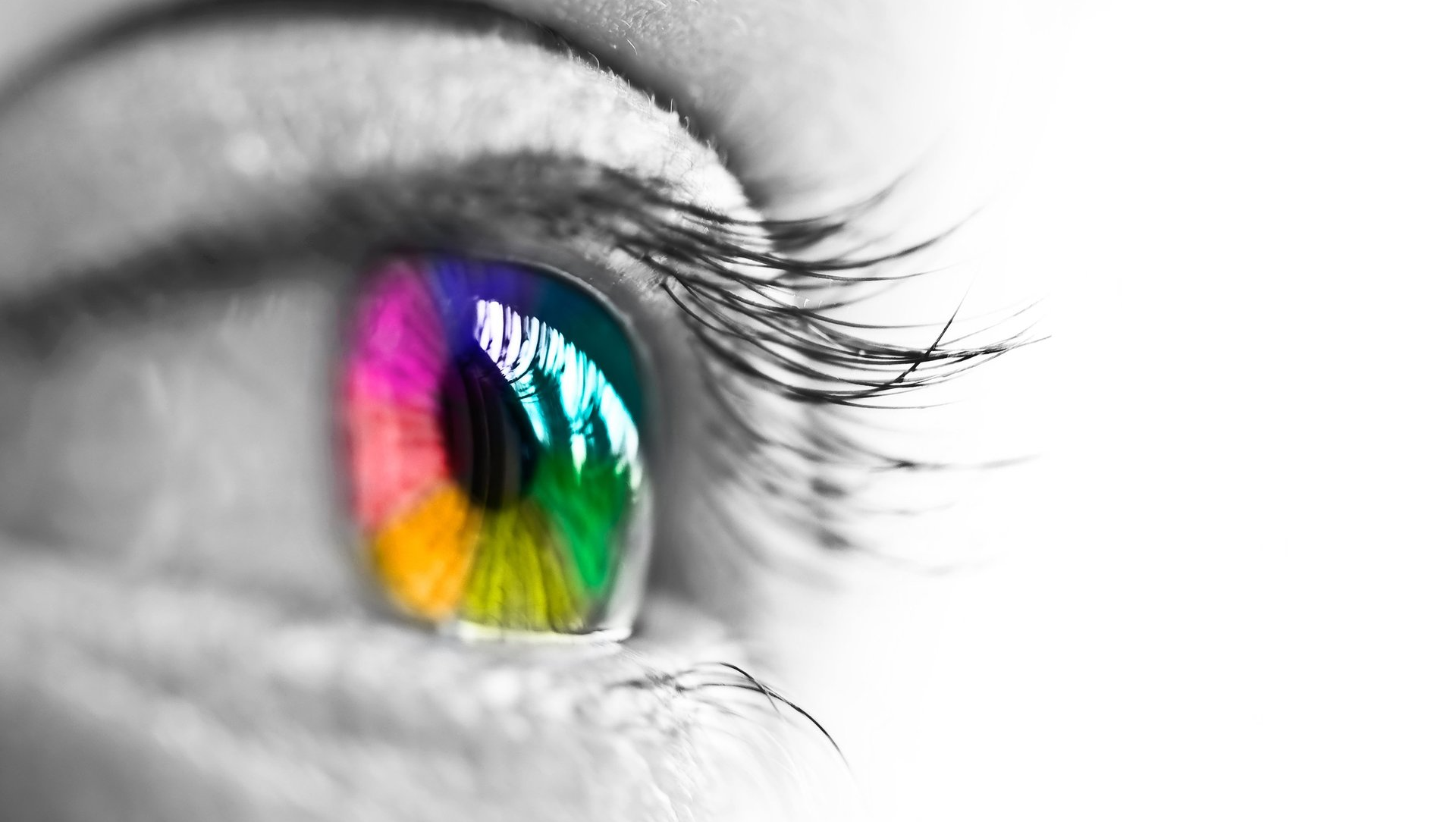 A colourful eye representing the One Tree Montessori vision.