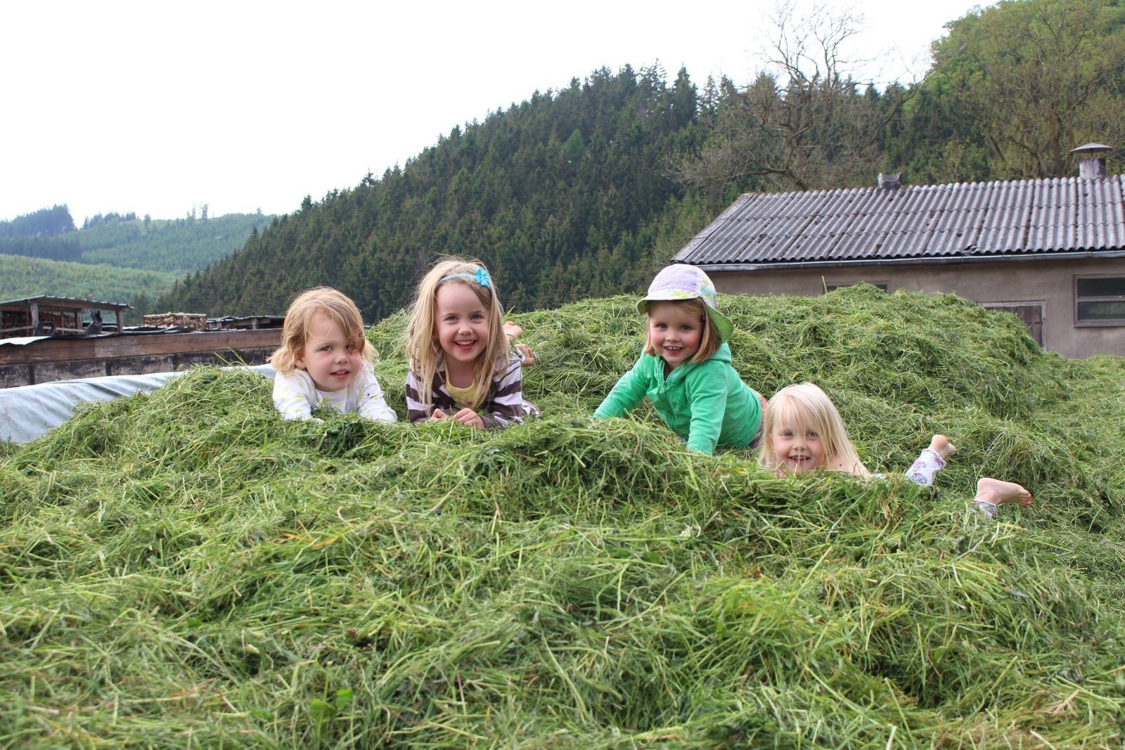 Kinder spielen im frisch gemähten Gras