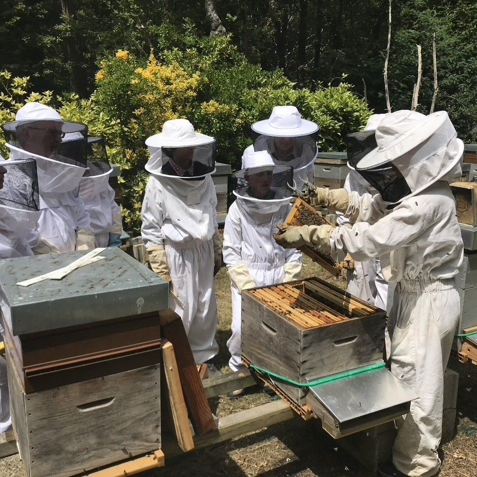 Visite insolite Bretagne Morbihan Finistère Terroir