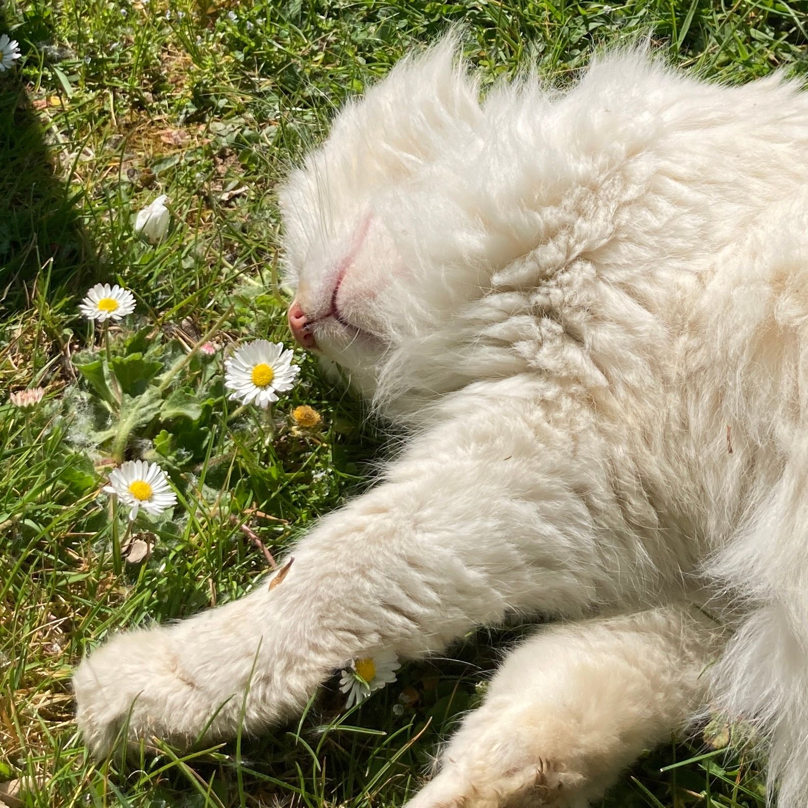 Découverte gourmande gastronomie Lorient Bretagne Morbihan