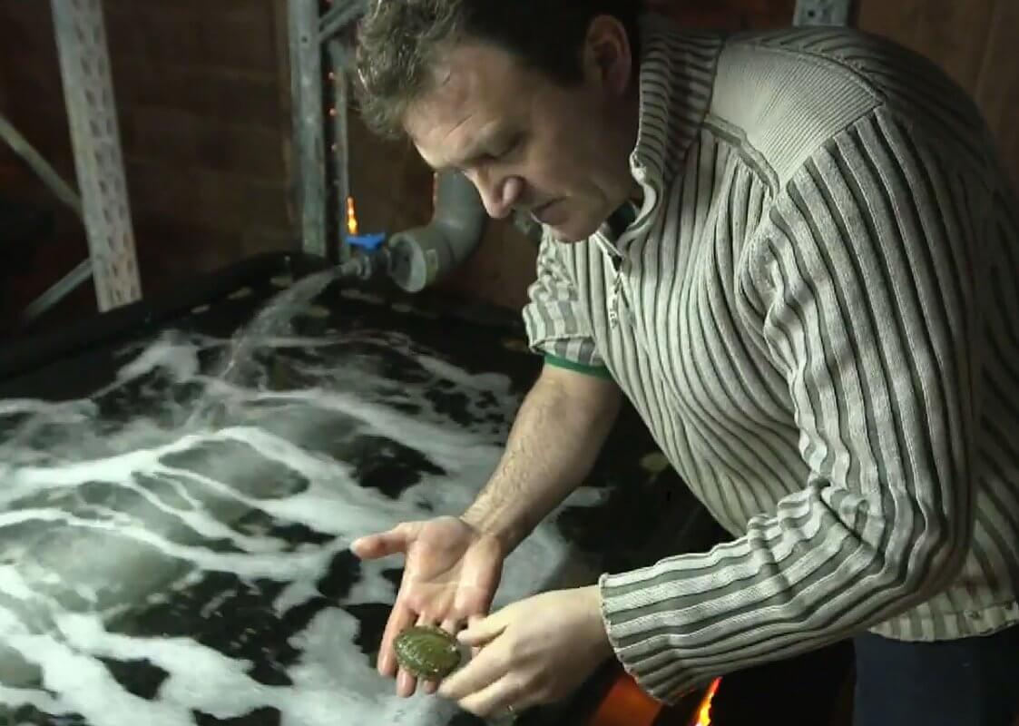 Erwan et son précieux coquillage visite élevage d'ormeaux à Groix avec bretagne food tour