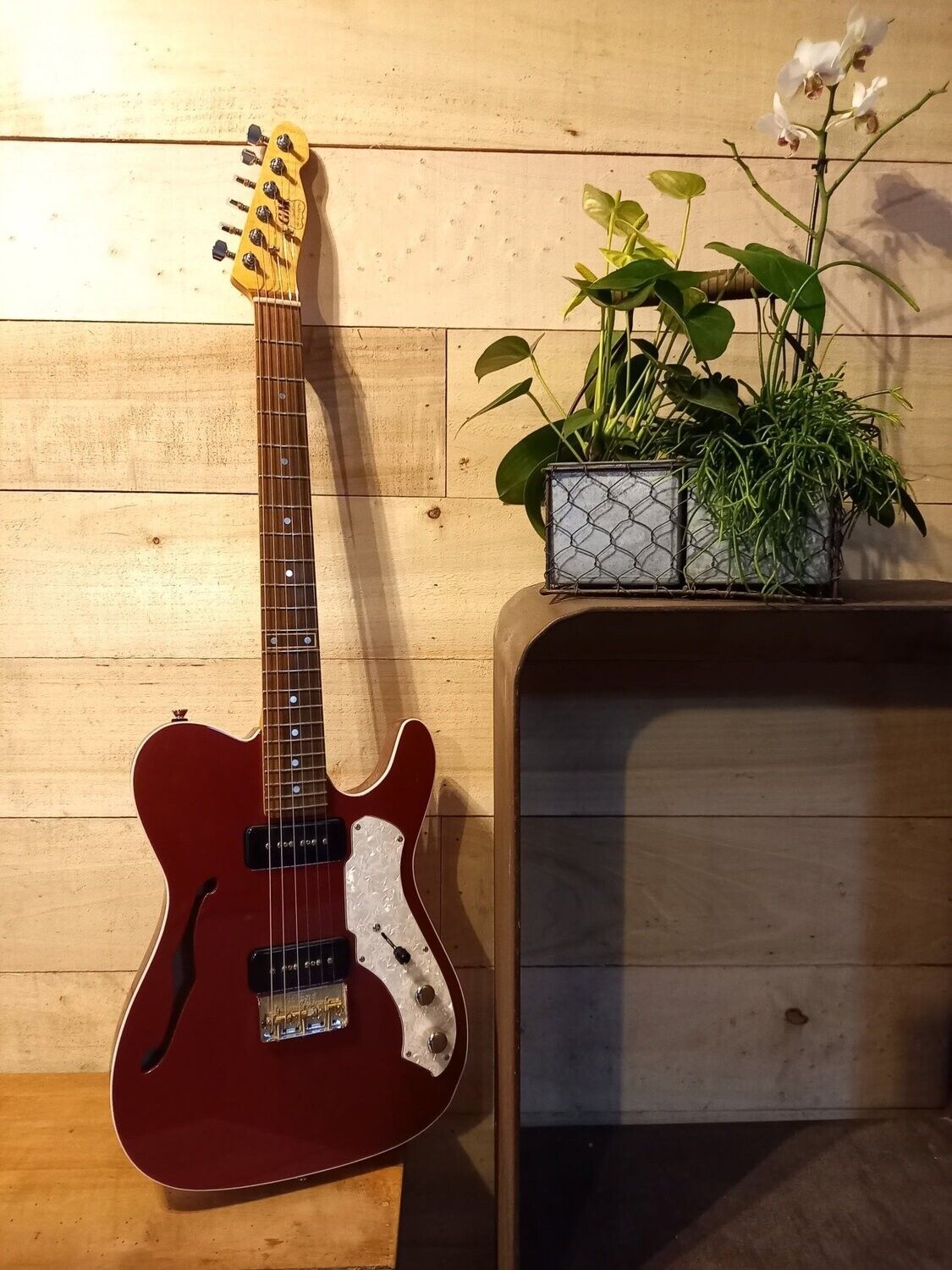 modele kustone tcaster thinline