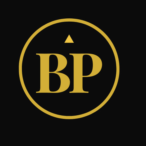 BrandauPerformance unternehmen beratung handwerk