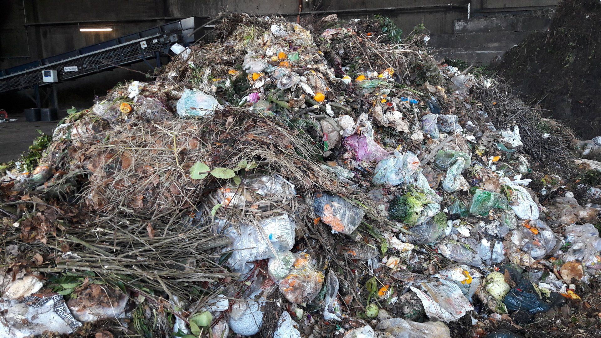 Biomüll mit Einweg Plastikmüll