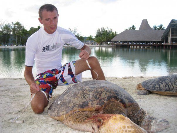 Tortues verte braconnées soignée par Sébastien Goutenègre. Copyright tortues verte soignées par Sébastien Goutenègre.