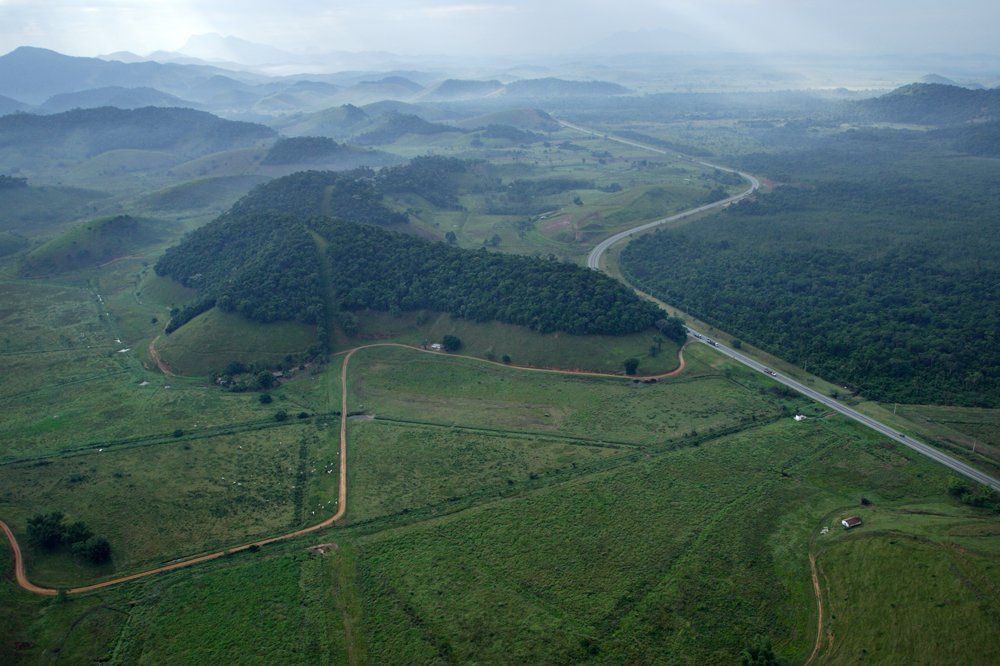 Forêt Mata Atlantica au Brésil