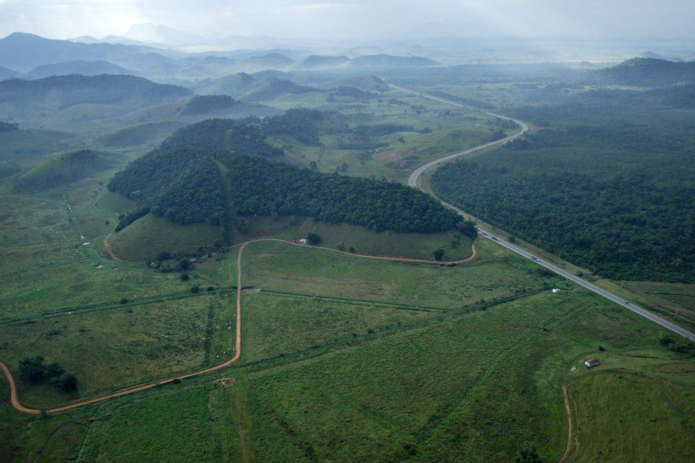 Forêt Mata Atlanticà au Brésil.Photo: AMLD copyright Forêt Mata Atlantica au Brésil