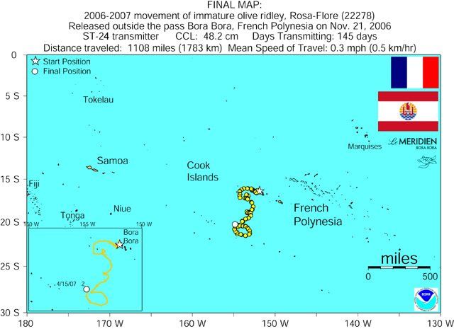 Copyright Diren/ NOAA/ PROE carte de migration d'une tortue Olivâtre dans le Pacifique Sud