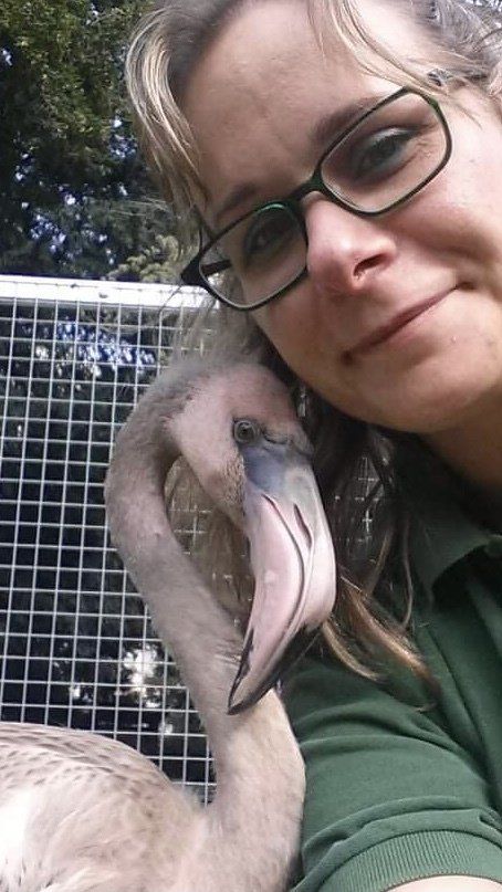 Aurélie Magnier, experte avifaune/ flamants. DEFENSE: Wildlife conservation projects