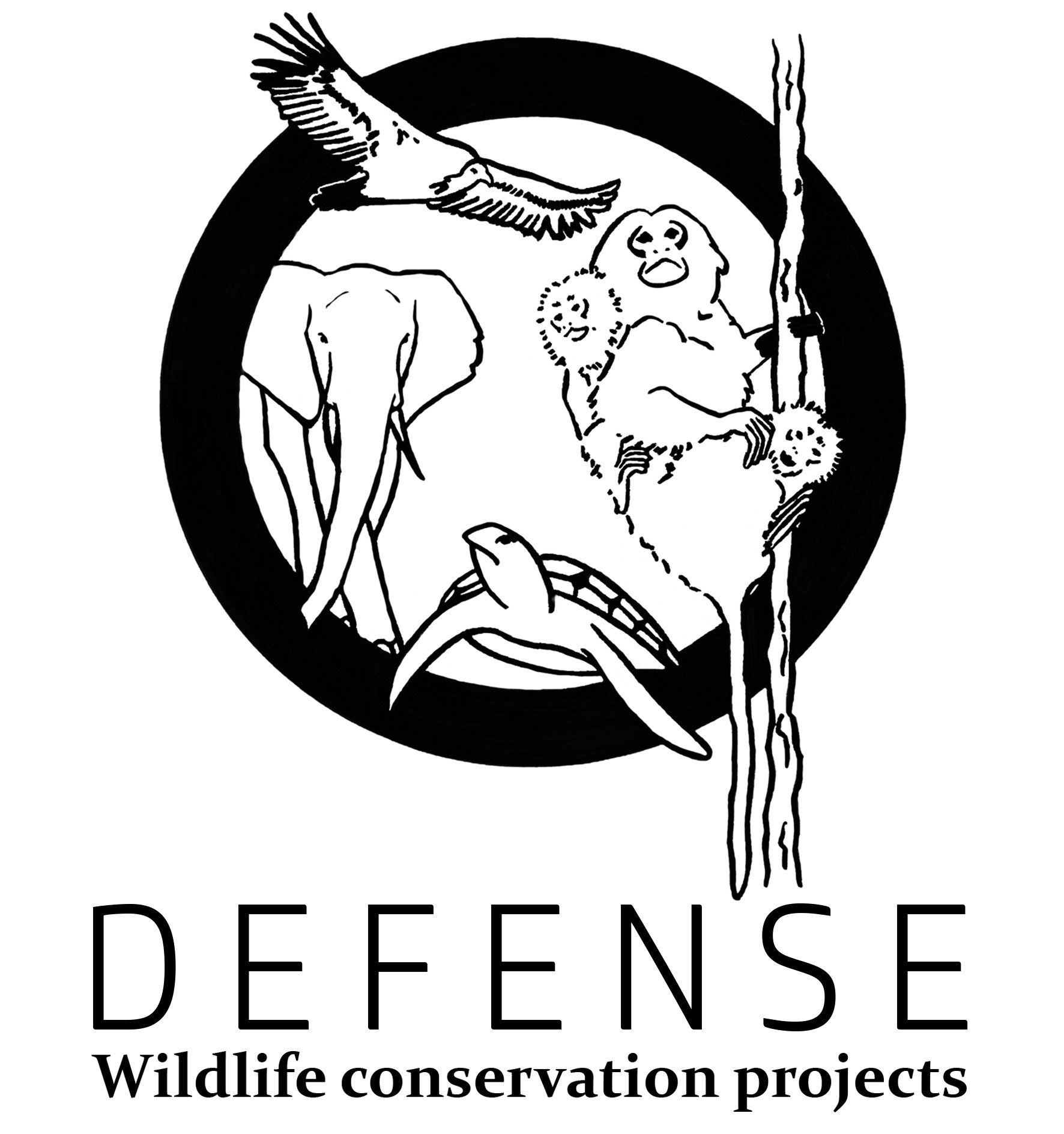Défense Wildlife Conservation Projects/ Designed by Bilana Jovic. Tous droits réservés logo défense wildlife conservation projects/ Designed by Bilana Jovic. Tous droits réservés