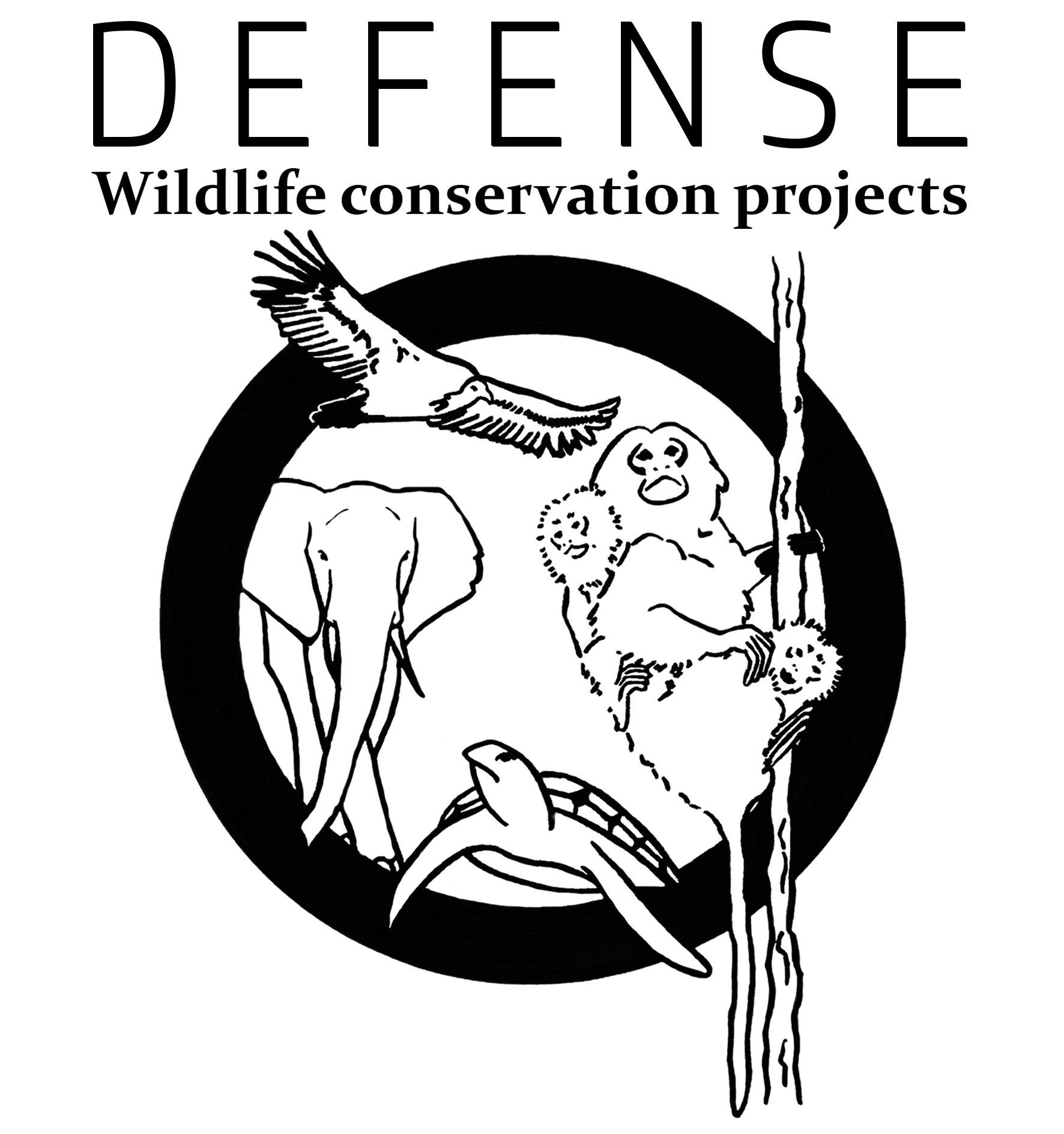 Défense wildlife conservation projects by Bilana Jovic. Tout droits réservés