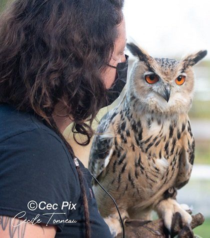 Stéphanie labbé. experte rapaces. DEFENSE: wildlife conservation projects