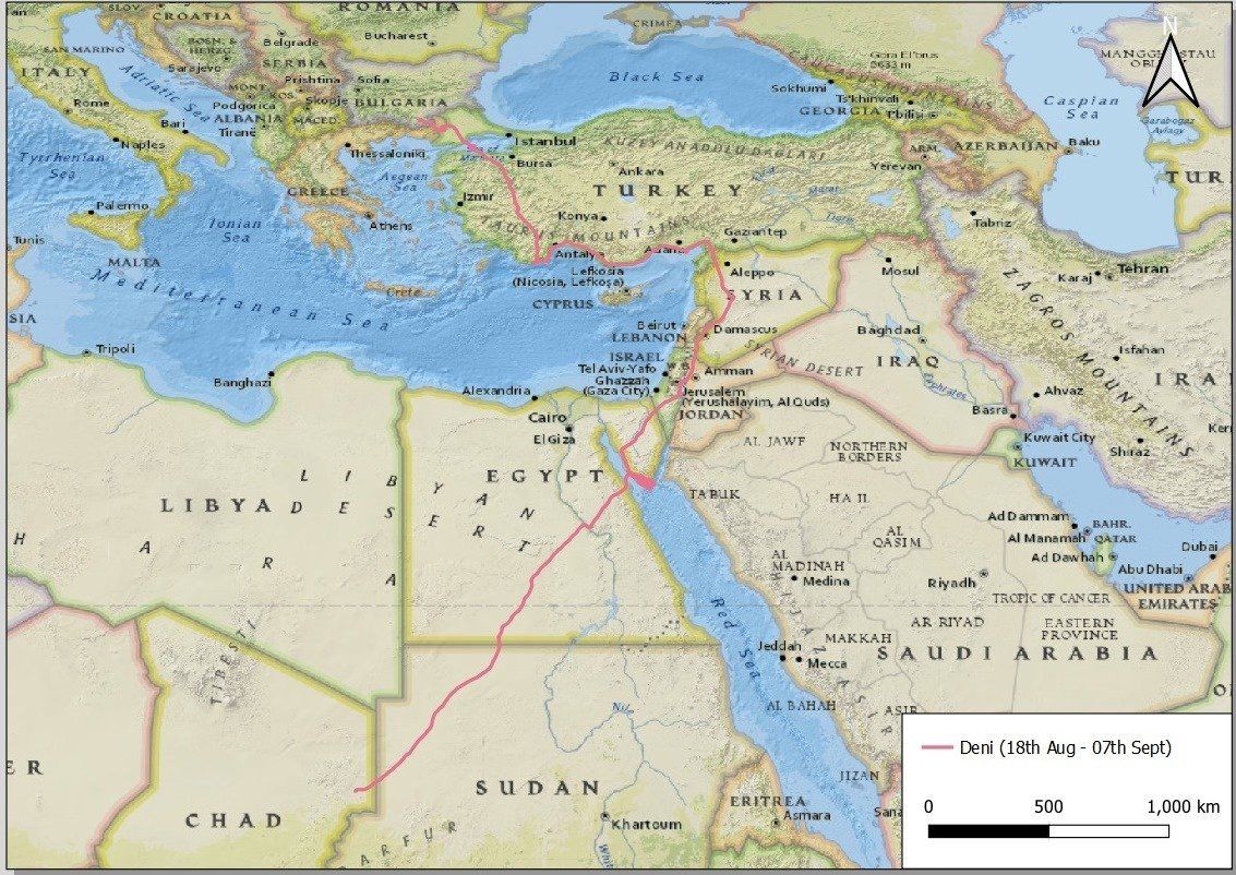 carte de migration du vautour percnoptère en Afrique de l'Est