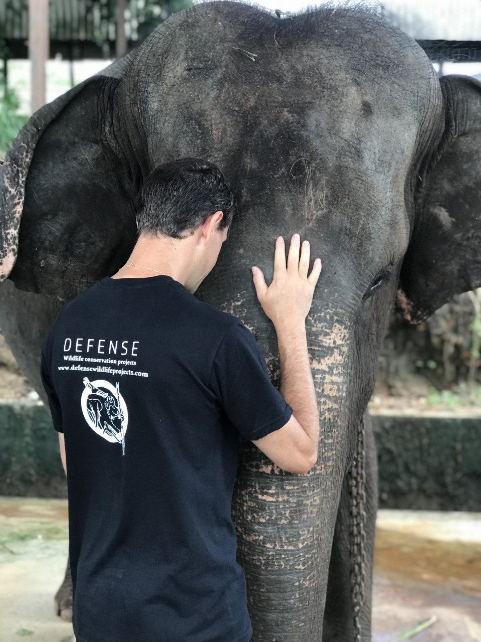 Sébastien Goutenegre, président de l'association au Sri Lanka avec un éléphant orphelin.