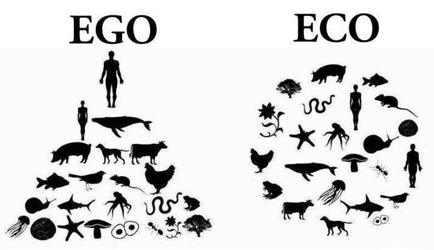 EGO l'homme au dessus d'une pyramide des êtres vivants animaux et végétaux et ECO en cercle