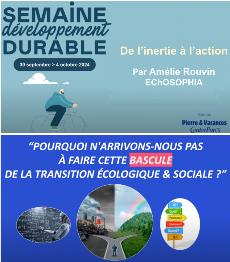 slide de conférence d'Amélie Rouvin