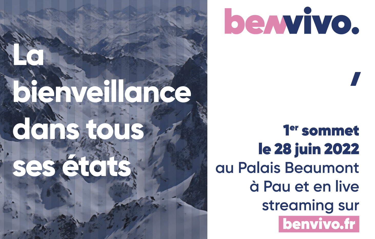 titre et logo BENVIVO