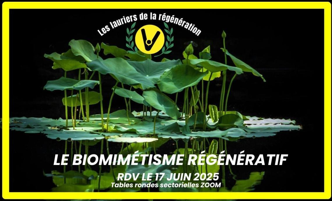 conférence Amélie Rouvin sur scène micro