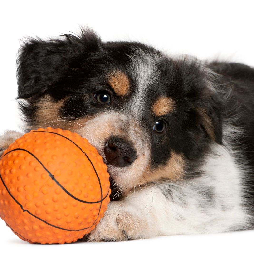 Frequently asked questions Frequently asked questions