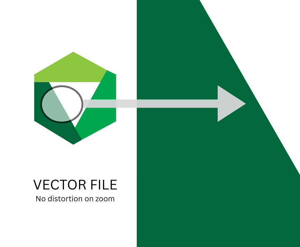 Vector Image