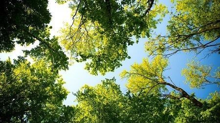 Eco Promotional Products