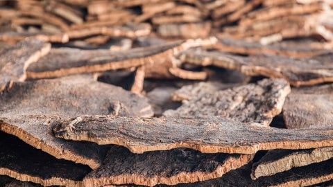 Sustainable Cork
