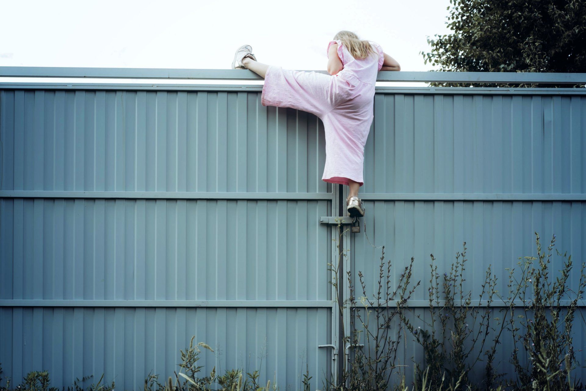 Sonja Kaemper, Systemische Beratung, Therapie, Coaching, Seminare