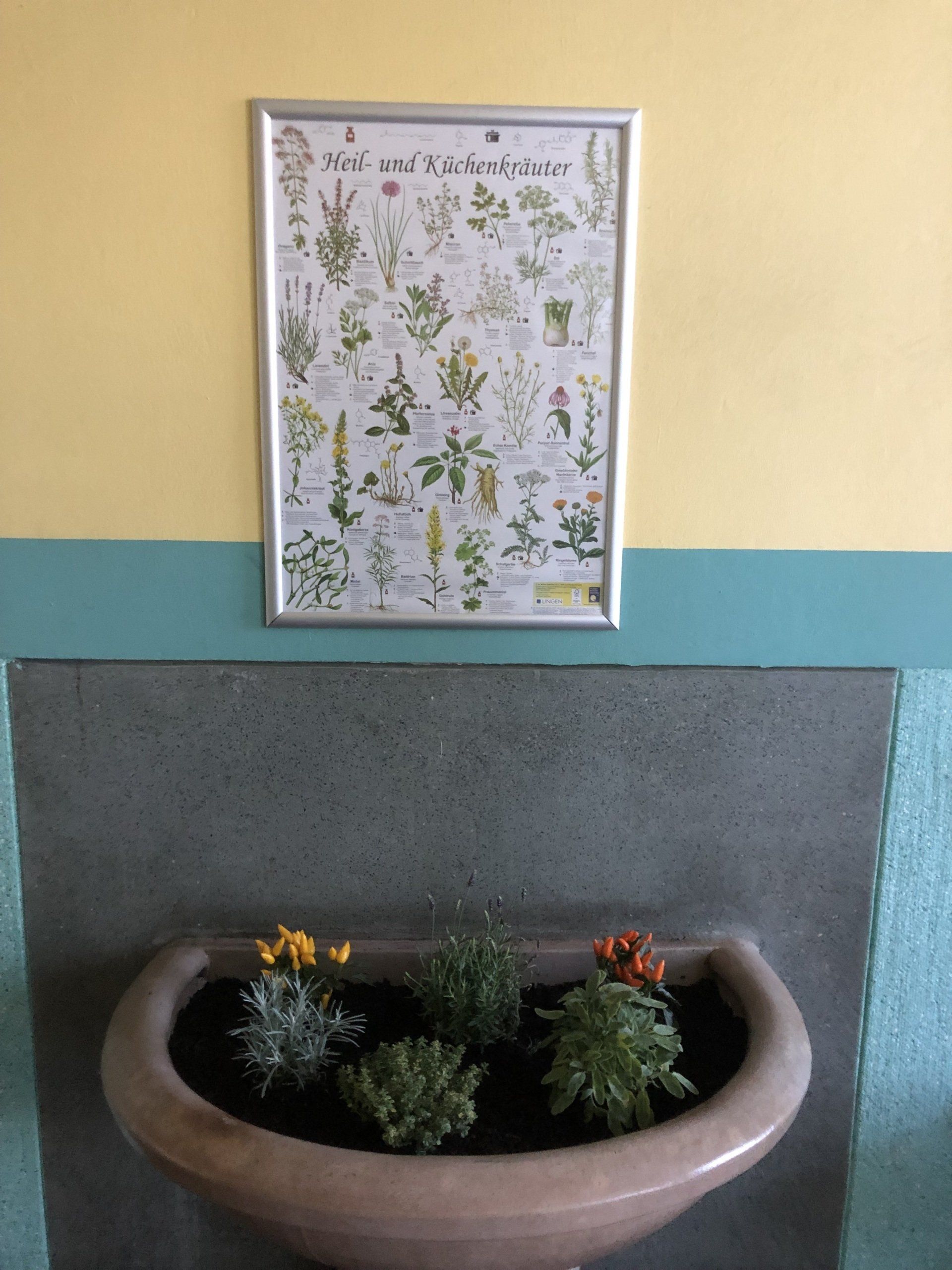 Bilderrahmen und Blumen