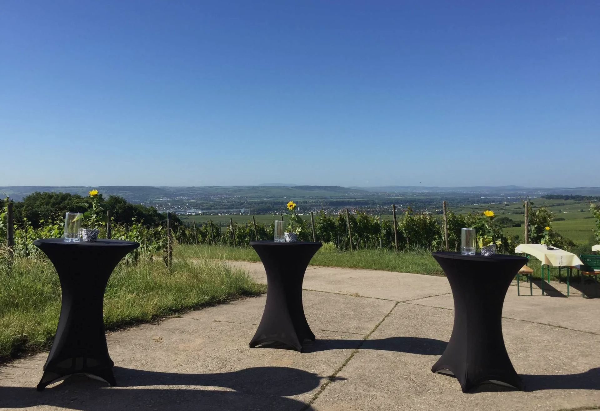 Flötenweg mit Blick auf Oestrich-Winkel