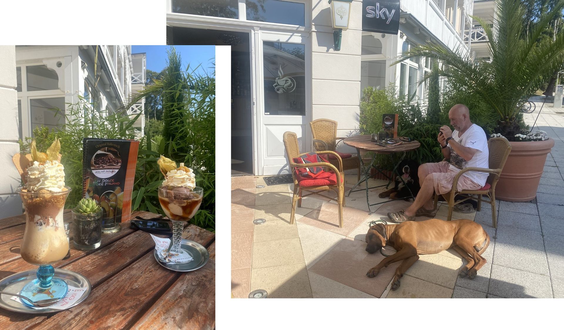 in der Wilhelmstraße nahe an den hundefreundlichen, strandnahen Ferienwohnungen Störtebeker & Freibeuter in Sellin auf Rügen