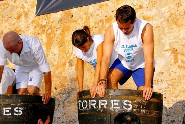 Verema de Sitges, trepitjada de raim