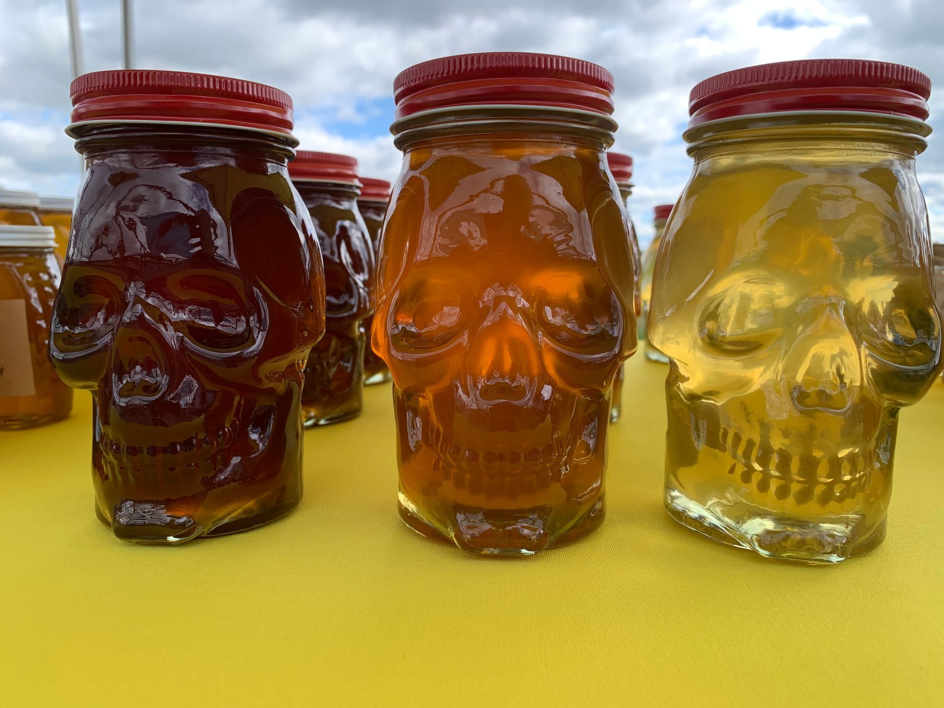 An assortment of different shapes and sizes of honey jars.