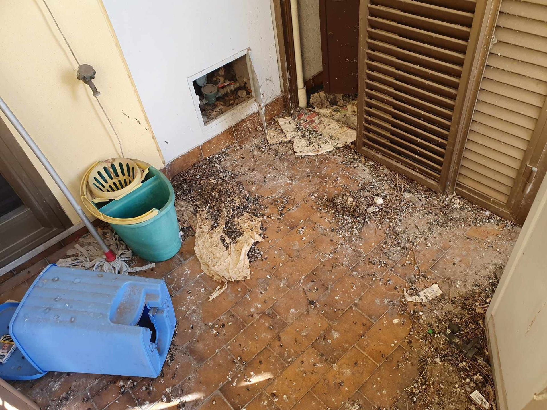 Pulizie guano piccioni (balconi, terrazzi, aree esterne)