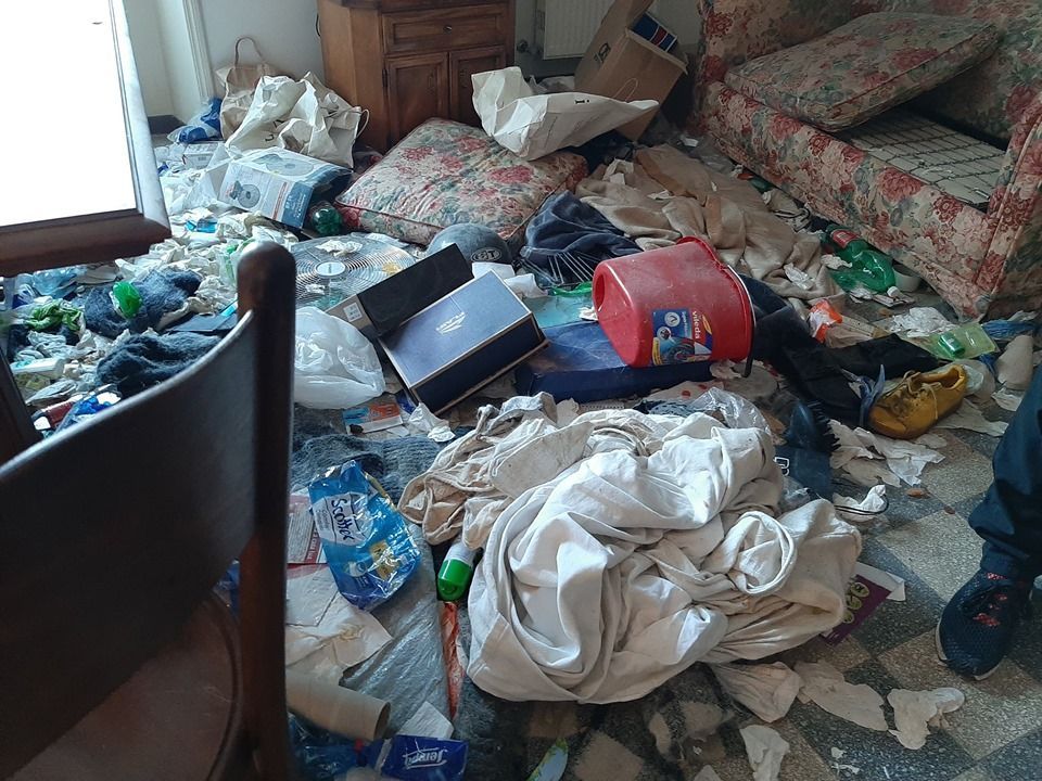 ditte di pulizie per diogene