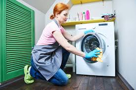 Come igienizzare gli elettrodomestici per renderli più efficienti.