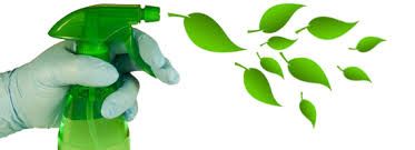 pulizie ecologiche Roma